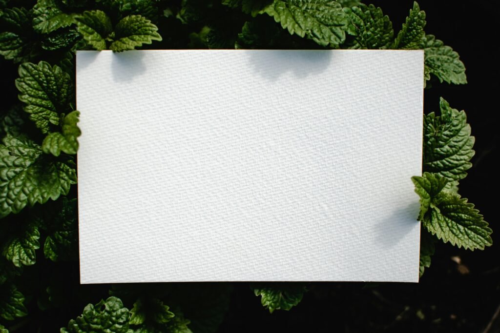 A flat lay photo showcasing a textured white sheet surrounded by lush green leaves, perfect for mockups.